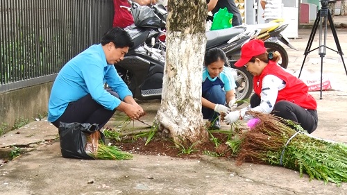 Ra quân trồng cây xanh Ngày T7 Cộng đồng.jpg