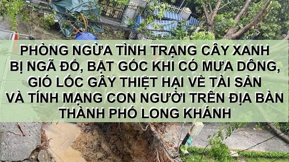 250603 njon1.jpg