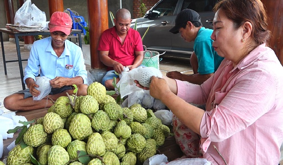 10. Mãng cầu Thái - cây trồng chuyển đổi mang lại hiệu quả kinh tế cao 3.jpg