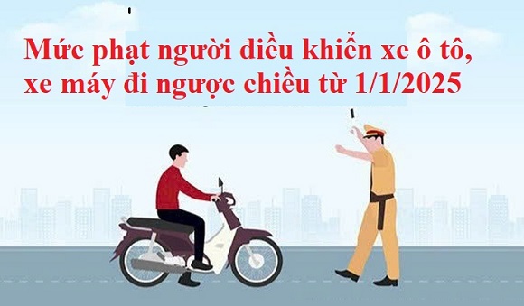 11. Mức phạt người điều khiển xe ô tô, xe máy đi ngược chiều 1.jpg