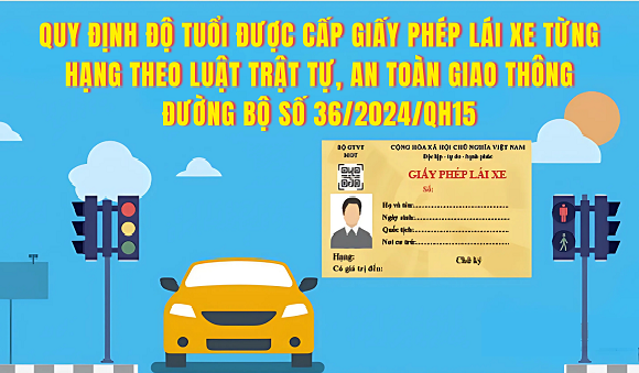 12. Quy định độ tuổi được cấp Giấy phép lái xe từng hạng theo Luật Trật tự, an toàn giao thông đường bộ.png