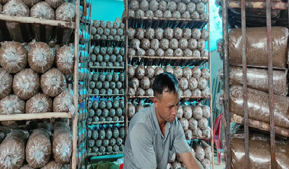 230712 Ông Triệu Văn Quang – nông dân sản xuất kinh doanh giỏi nhiều năm liền.doc.png