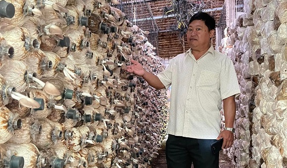 230724 Nghề nuôi trồng nấm Bào Ngư phát triển mạnh tại xã Bàu Trâm.jpg