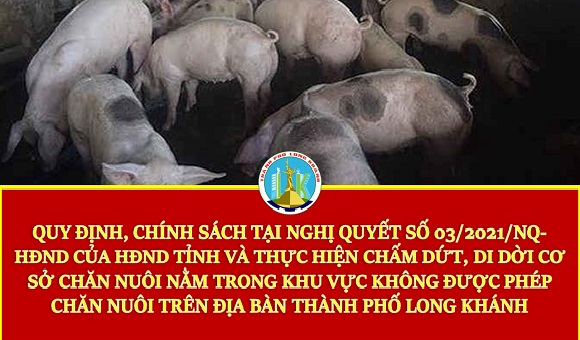 230920 KH thực hiện chấm dứt, di dời cơ sở chăn nuôi nằm trong khu vực không được phép chăn nuôi trên địa bàn thành phố Long Khánh.jpg