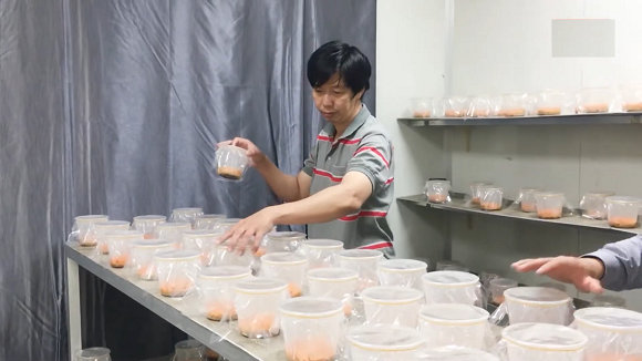 230922 Phát triển nông nghiệp gắn với chế biến ở thành phố Long Khánh, tiềm năng và định hướng lâu dài 1.png