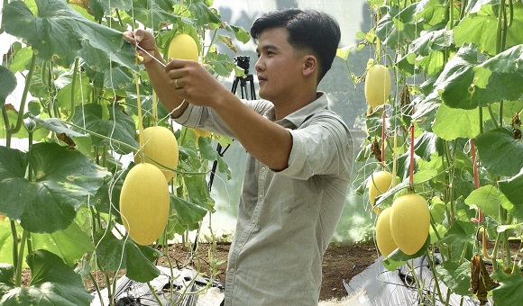 230922 Phát triển nông nghiệp gắn với chế biến ở thành phố Long Khánh, tiềm năng và định hướng lâu dài 2.jpg