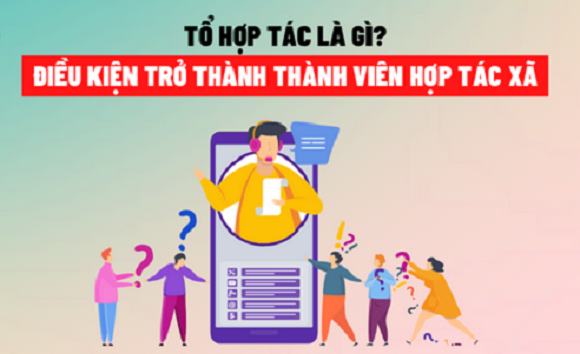 240802 to-hop-tac-1.png