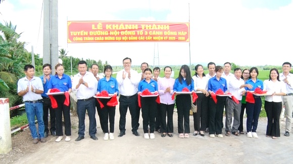 250616 CAT BANG KHANH THANH TO 3 CANH DONG HAP.jpg