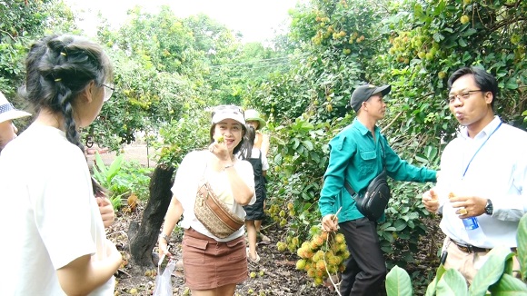 250616 du khach thuong thuc chom chom.jpg