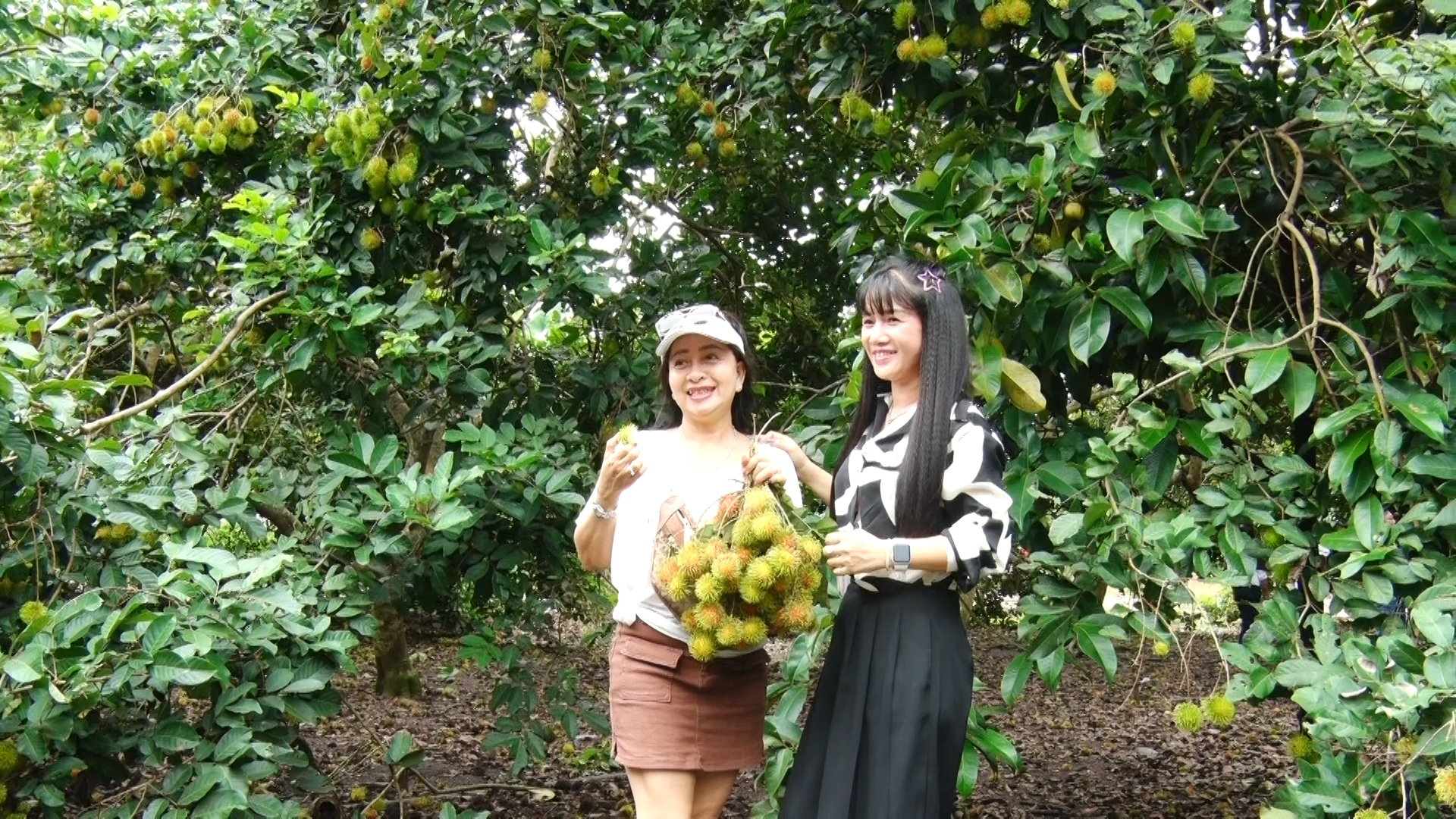 250618 KHACH DU LICH HAI CHOM CHOM.jpg