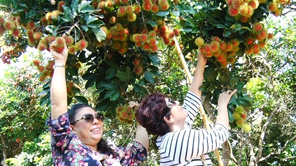 8. P,SU DU LICH VUON HOMESTAY LONG KHANH QUE EM DIEM DEN THU VI CHO DU KHACH 3.jpg