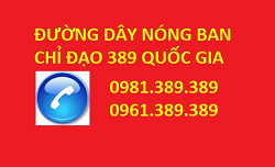 Đường dây nóng 389